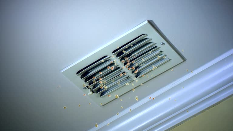 Best Ductwork Cleaning Services  in Harrington, DE
