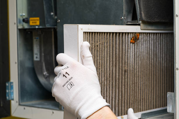 Best Affordable Duct Cleaning Services  in Harrington, DE